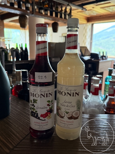 Bild 229 - 2Fl. Monin Sirup