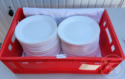 Bild 072 - 80 Stk. Hauptspeisenteller