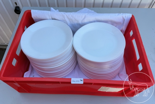 Bild 073 - 80 Stk. Hauptspeisenteller