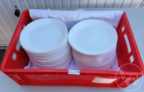 Bild 075 - 80 Stk. Hauptspeisenteller