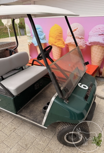 001 - Golf Cart