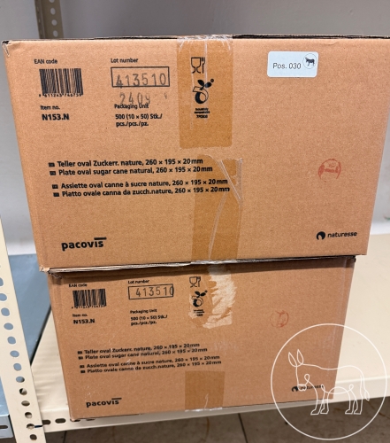 Bild 030 - 100 Einweg-Platten/Teller