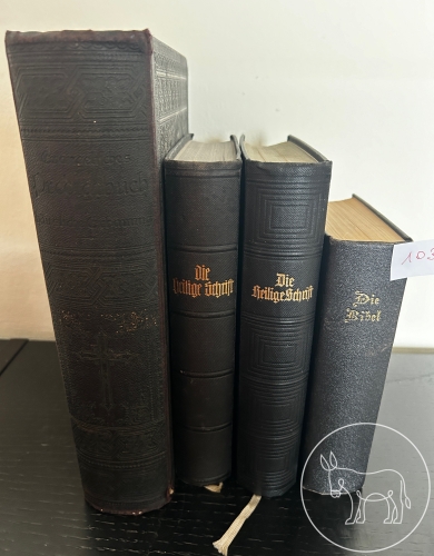 Die Bibel, Die Heilige Schrift, Evangelisches Predigt-Buch