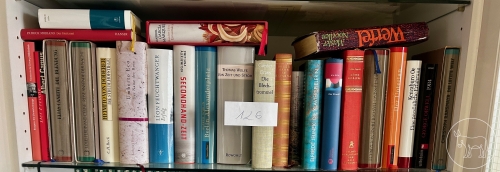 126 Bücher Konvolut