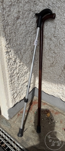 Bild 928 - 2 Spazierstöcke