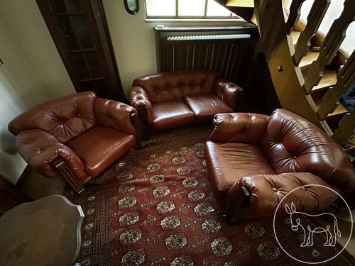 Bild 098 - Ledercouch / Sitzgruppe