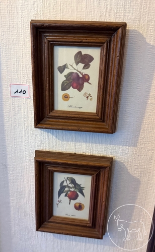 Bild 110 - 2 Bilder