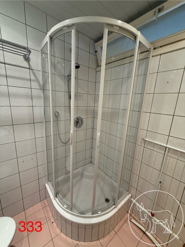 Bild 333 - Hüppe Dusche