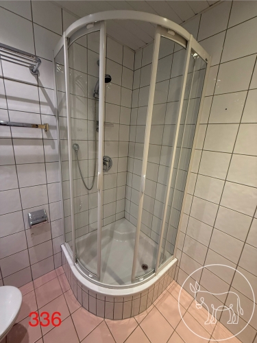 Bild 336 - Hüppe Dusche