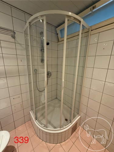 Bild 339 - Hüppe Dusche