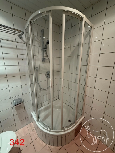 Bild 342 - Hüppe Dusche