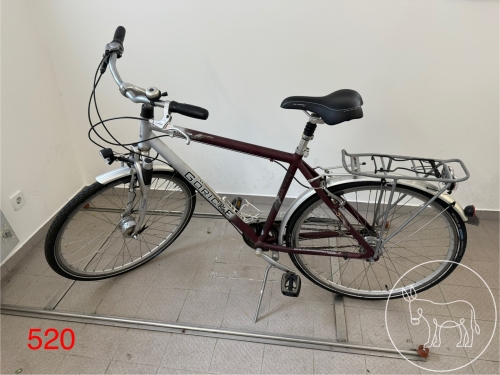 Bild 520 - Fahrrad Göricke Boulevard