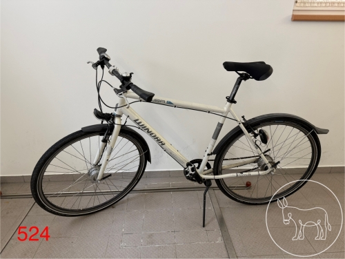 Bild 524 - Fahrrad Winora Aruba