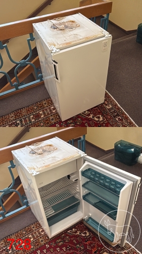 Bild 728 - Electro Lux Kühlschrank
