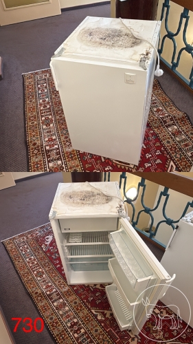 Bild 730 - Electro Lux Kühlschrank
