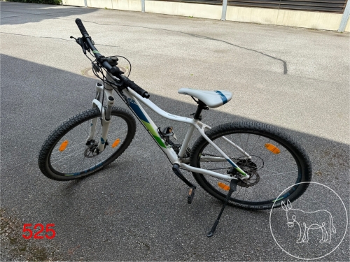 Bild 525 - Jugend-Fahrrad