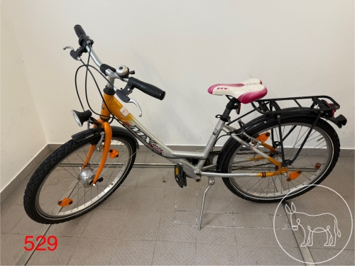 Bild 529 - Jugend-Fahrrad