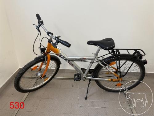 Bild 530 - Jugend-Fahrrad