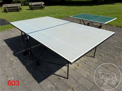 Bild 603 - Tischtennistisch