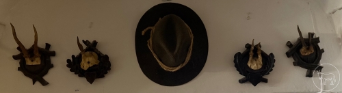 Bild 016 - Trophäen und Hut Konvolut