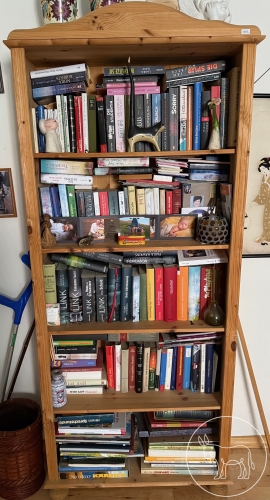 Bild 053 - Vollholz Bücherregal