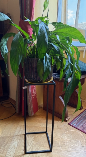 153 - Blumentisch ohne Blume