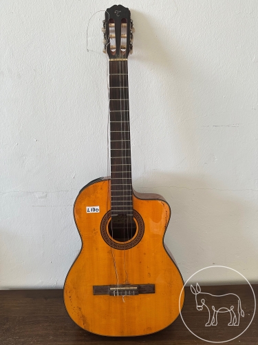 Bild 180 - Gitarre