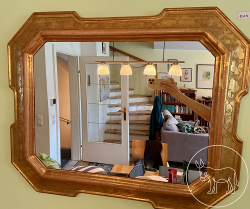 Bild 014 - Spiegel in Holzrahmen gold