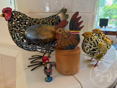 Bild 034 - Diverse Hühner