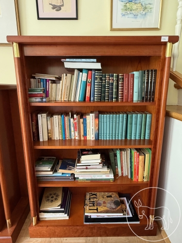 Bild 096 - Bücherregal massiv