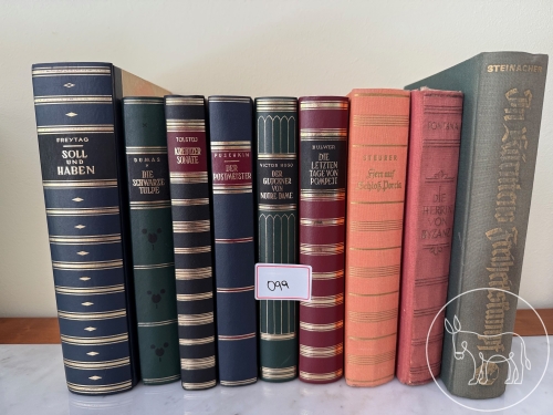 Bild 099 - Bücher Konvolut