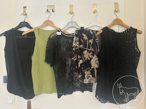 Bild 188 - Blusen- und Top Konvolut