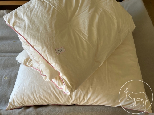 Bild 227 - Daunen-Tuchent und Daunenkissen