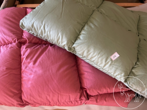 Bild 228 - 2 Daunen Kasettendecken