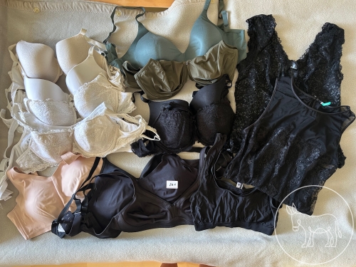 Bild 241 - Unterwäschen und Dessous