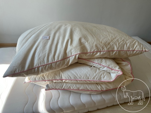 Bild 279 - Daunendecke+Kissen