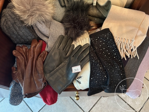 Bild 343 - Winter Accessoires