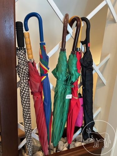 Bild 344 - Schirm Konvolut