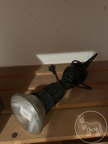 Bild 402 - Gartenstrahler