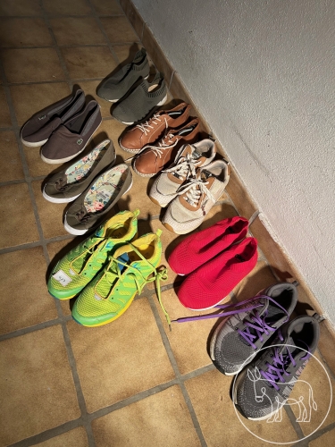 Bild 416 - Sneakers Konvolut