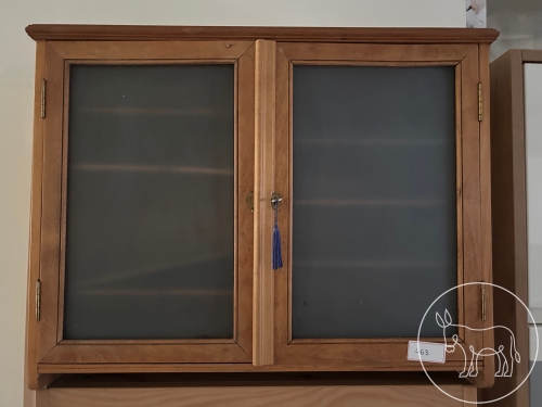 463 - Wandschrank mit Flügeltüre