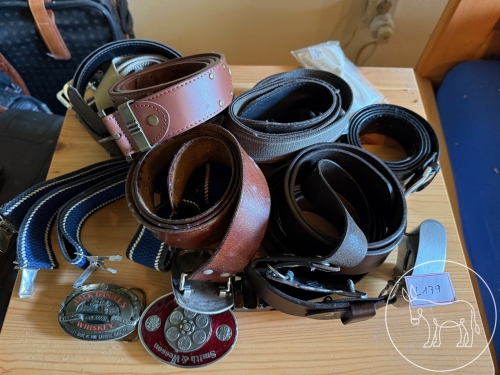 Bild 179 - Gürtelkonvolut