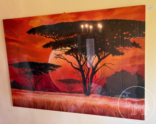 Bild 200 - Bild Afrika