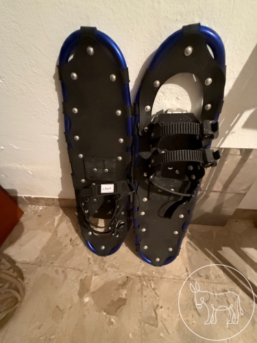 Bild 301 - Schneeschuhe