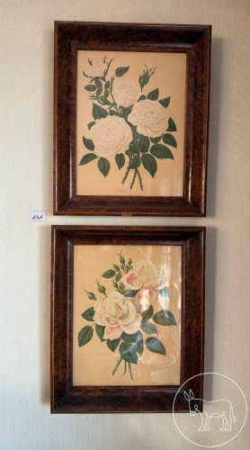 131 - 2 Druckgrafiken gerahmt