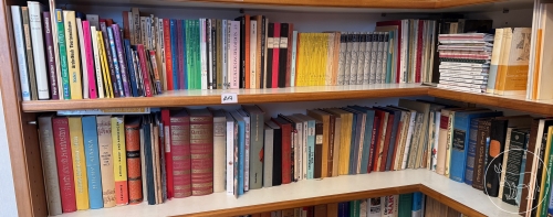 217 - Bücher Konvolut