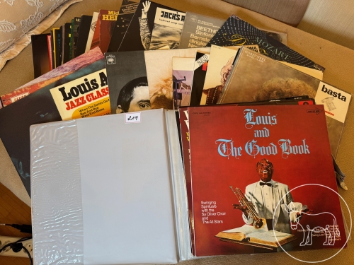 Bild 219 - Schallplatten Konvolut