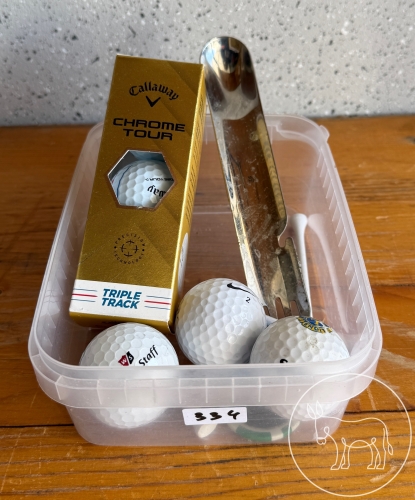 Bild 334 - Golf-Zubehör