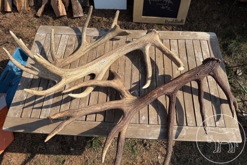 419 - 3 Abwurfstangen