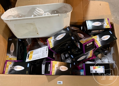 Bild 083 - riesiges Leuchtmittel Konvolut